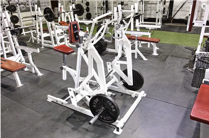 Fortis Fitness