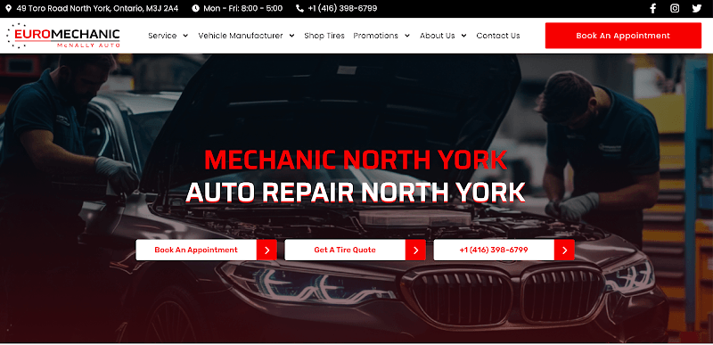 EuroMechanic - McNally Auto